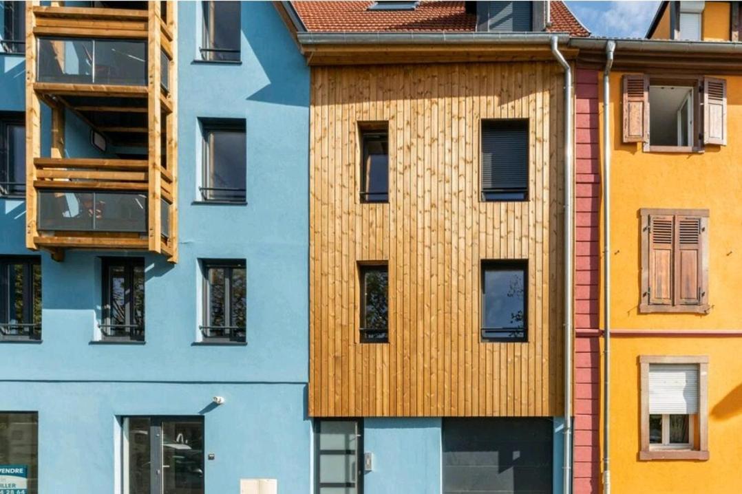 Le Nature 1 Chambre Et Sauna Colmar Eksteriør billede