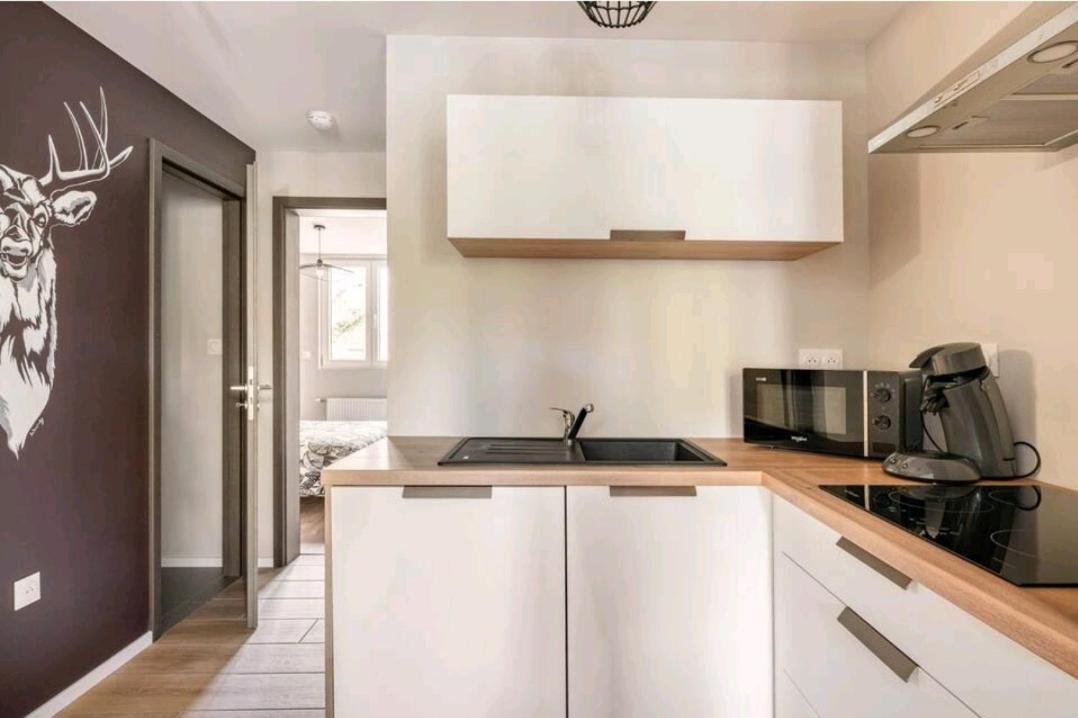 Le Nature 1 Chambre Et Sauna Colmar Eksteriør billede